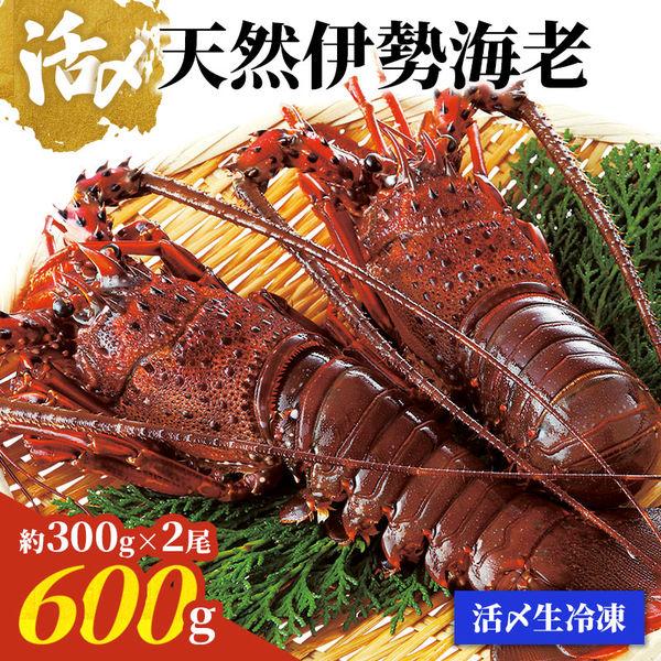 King Macadamian JAPAN 天然龍蝦活凍 IE91102 1 件（直送）