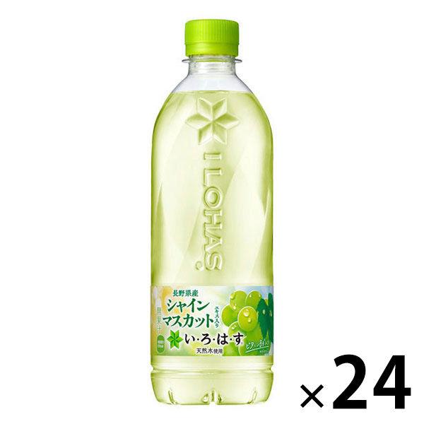 可口可樂 I LOHAS Shine 玫瑰香 540ml 1 盒（24 瓶）