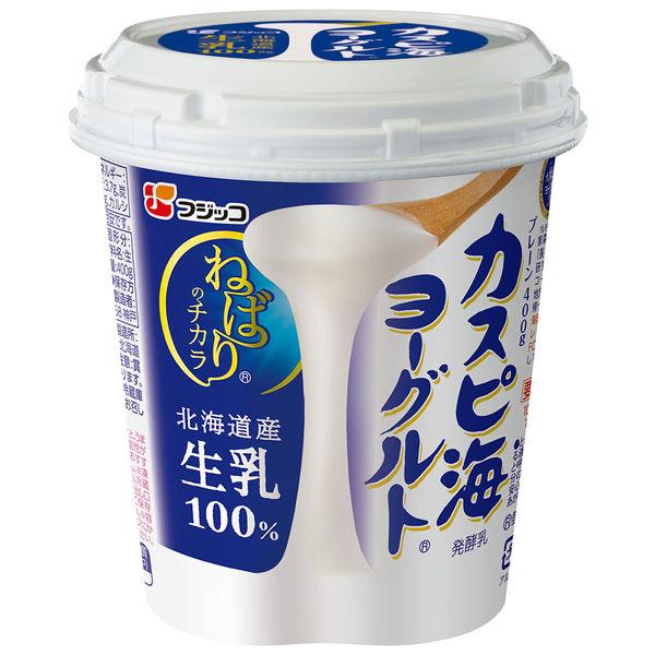 Fujicco [冷藏] Fujicco里海優格原味 400g x 6 件 4902553009713 1 套（6 件）（直送）