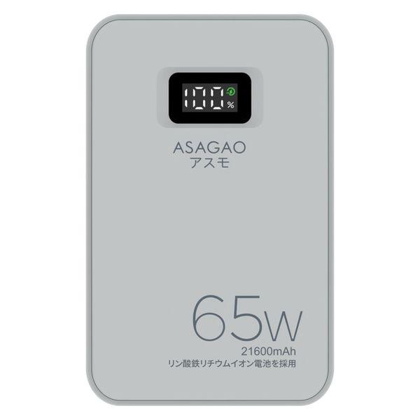 磷酸鐵移動電池 69Wh 帶 LED 燈高達 65W ASAGAO AS69 1 件