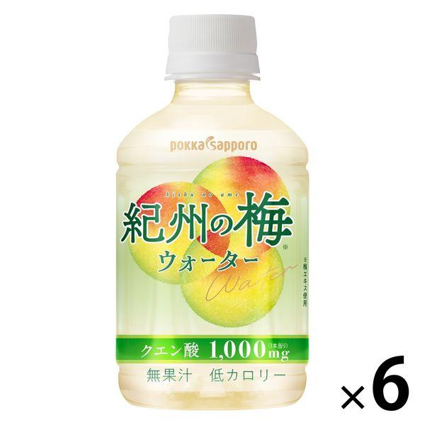 Pokka 札幌食品飲料 紀州梅水 270ml 1 套（6 瓶）